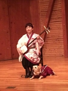 舞台で三味線を弾きながら瞽女唄（ごぜうた）を披露する広沢里枝子の写真